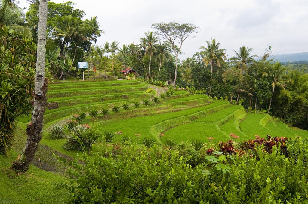 Puri Asri Hotel & Resort Magelang Exterior foto